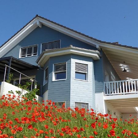 B+B Passifleur Делемон Екстер'єр фото